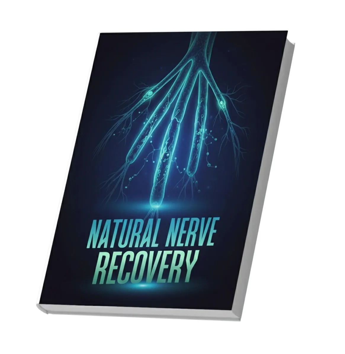Natural Nerve Recovery
